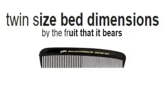 Twin Size Bed Dimensions [Google autocomplete]