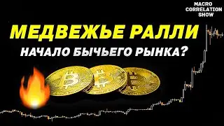 РАЛЛИ МЕДВЕЖЬЕГО РЫНКА ИЛИ НАЧАЛО БЫЧЬЕГО | БИТКОИН #ДЕНЬГИБиткоинИнвестор