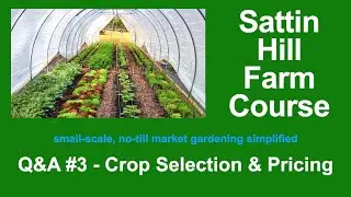 Sattin Hill Farm Course Q&A #3 - Crop Selection & Pricing