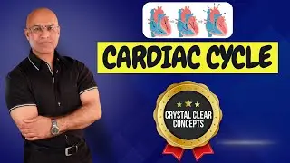 Cardiac Cycle | Cardiology | Systole & Diastole | Cardiovascular🫀