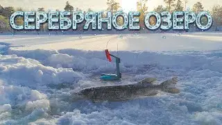 СЕРЕБРЯНОЕ ОЗЕРО.