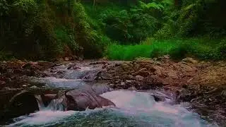 Natural mountain river sounds White Noise for study, spa, Yoga, Stress Relief & Meditation No music