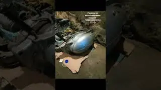 планета кафа Рейсер )