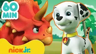 Щенячий патруль | 60 МИН. новых серий "Щенячьего патруля"! | Nick Jr. Cyrillic