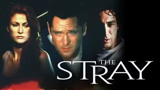 The Stray - Full Movie