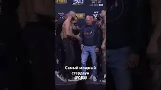 Прохазка vs Ракич. Лицом к лицу ufc 300.