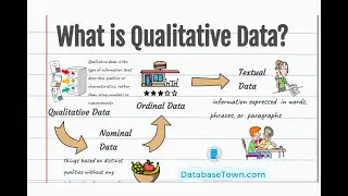 What is Qualitative Data? Three Types of Qualitative Data