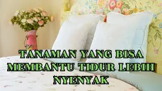 Tanaman Yang Bisa Membantu Tidur Lebih Nyenyak