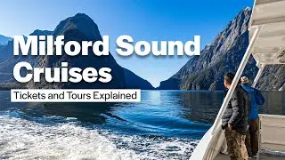 How to Plan Your Milford Sound Cruise in 2024