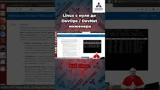 Курс #linux с нуля до #devops / #devnet инженера. Различия в дистрибутивах Linux