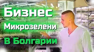 Farmer Microgreens Bulgaria