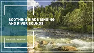 Soothing Birds Singing and River Sounds in Green Forest ✦ Relax ✦ Sounds