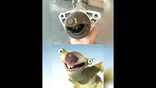 PAPARAZI ? 
