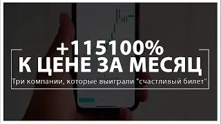 +115100% к цене за месяц: Три компании, которые выиграли счастливый билет