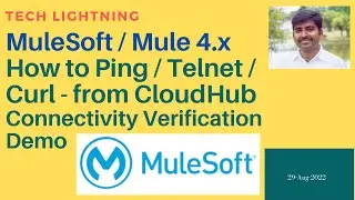 How to ping / telnet / curl from MuleSoft CloudHub | Connectivity verification  using Network tool