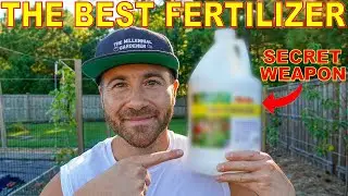 This Fertilizer Is My SECRET WEAPON For A Healthy Productive Garden!