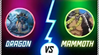 🐲DRAGON🐲 VS 🐘MAMMOTH🐘 1V1 | Blox Fruits