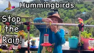 Hummingbird Cheap Shelter COVER SAVING Hummingbirds from Heavy Rain & Hot Sun for Shade & Protection