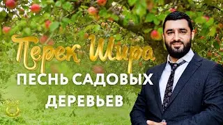 🌳Перек Шира: Песнь Деревьев (Рав Исраэль Якобов) Цикл: Песнь Творения. #23