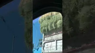 ПЕРЕБОР С ГАБАРИТАМИ 🤯