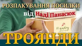 Розпакування посилки від розплідника «Розовед» від Надії Панасюк, Херсон. Стан троянд після посадки.