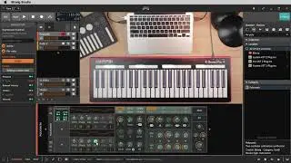 K-Board Pro 4 MPE Controller Bitwig MPE Expression Mapping Tutorial