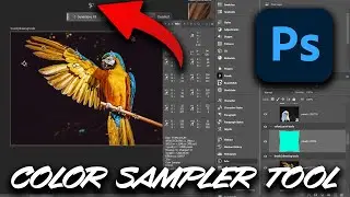 Photoshop Color Sampler Tool Tutorial