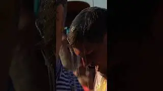 ОБЛИЛИ МЁДОМ! Давай на спор! 