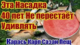 40 лет Не Перестает Удивлять Насадка на Карася Карп Лещ Супер Рыболовная насадка для карася