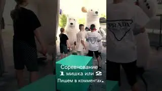 Заказать мишку в Майкопе, артиста или аниматора можно по телефону +79618287946. 