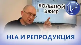 HLA и репродукция: Глядеть назад, чтобы идти вперед. Рассказывает Гузов И.И.