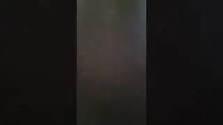 К доске пойдёт, Чепуршилов.