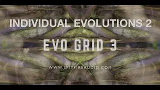 EVO Grid 3 by Spitfire Audio -  Individual Evolutions part 2