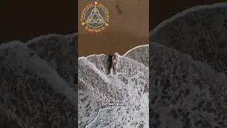 КлюЧисла дня12 и 13 октябряОт ЦифрАведа Милены Осиповой ТМ КлюЧисла#квантовая_нумерология