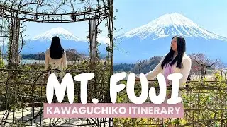 MOUNT FUJI JAPAN | Hiring a car, things to do and places to eat in Fujikawaguchiko (Japan Vlog)
