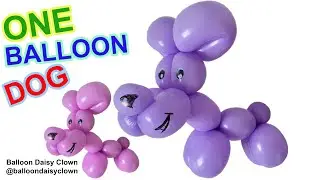 One Balloon Dog - Balloon Animals for Beginners