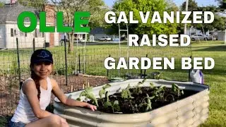 Cheapest & Best Raised Garden Bed on Amazon - OLLE Gardens