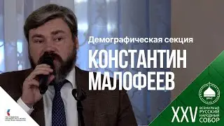 Константин Малофеев: «Мы должны воспроизводиться за счёт своих детей, а не чужих»