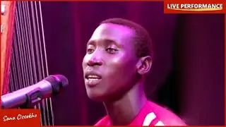 Diarabi - Sana Cissokho | Heartfelt Kora Solo Performance | KORA LIVE in 4K @sanacissokho