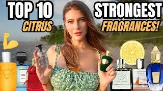 TOP 10 BEAST MODE CITRUS FRAGRANCES! Best Fresh Compliment Getters for Summer & Fall