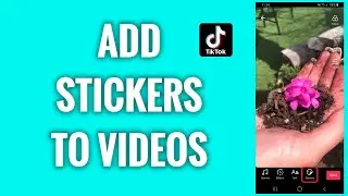 How To Add Stickers To TikTok Videos