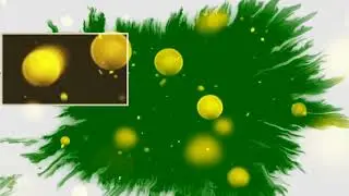 main tanme tu peyara song edius project green screen Project,new wedding green screen,fcpx 3d effect