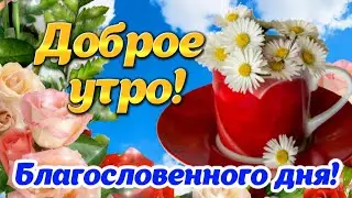 🌺 Доброго утра! ☕️ Благословенного дня! 🕊 Красивые пожелания с Добрым утром! Открытка