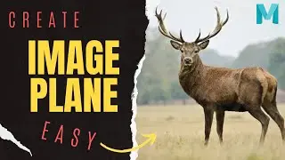 How to Create Image plane ? MAYA | Create Image Plane Easy in Maya