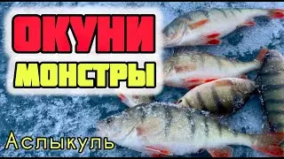 Зимняя рыбалка на озере Аслыкуль в Башкирии. Как, на что и кого ловят на Асликуле зимой