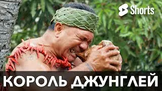Король джунглей
