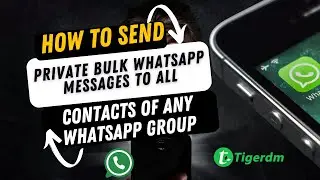 How to send Bulk WhatsApp Mesages to Any WhatsApp Group Individuals