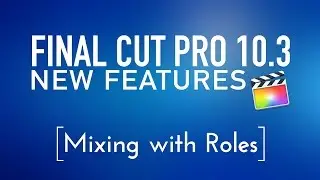 Final Cut Pro 10.3 New Features Lesson 4: Mixing with Roles