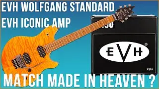 EVH Wolfgang Standard + EVH Iconic Amp - Does it sound good?