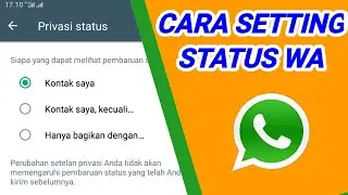 How to set whatsapp status privacy